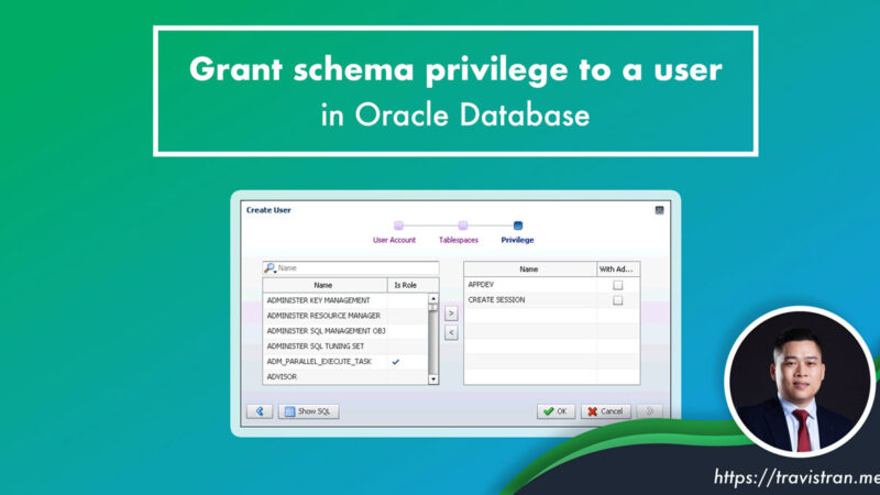 Oracle DB Grant Privilege on all objects in a Schema to a user 1