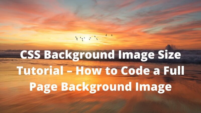 CSS Background Image Size Tutorial – How to Code a Full Page Background Image