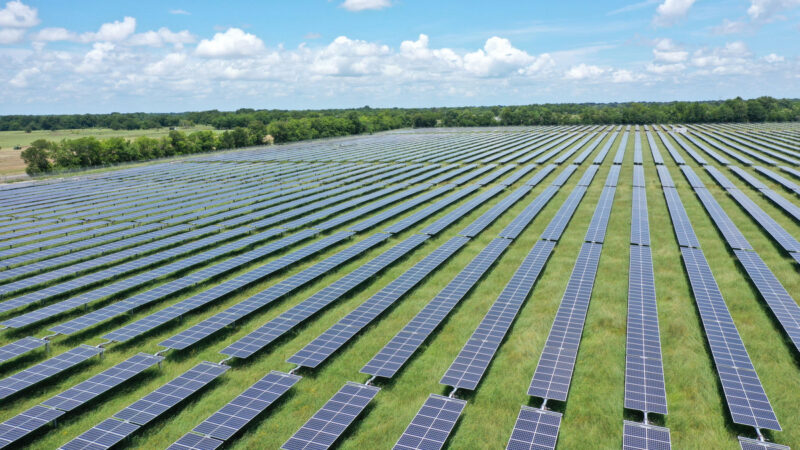 Một trang trại điện Mặt Trời tại Mỹ. Ảnh: CNBC.