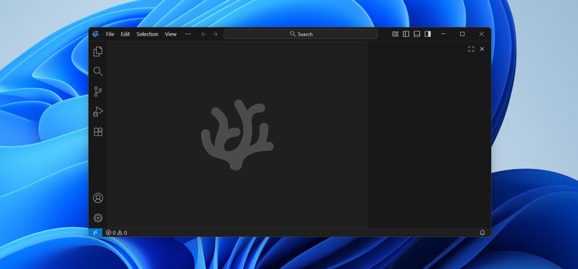 I Installed These 5 Open-Source Apps When I Upgraded to Windows 11 5 VSCodium open on Windows 11 with the Windows 11 background visible.