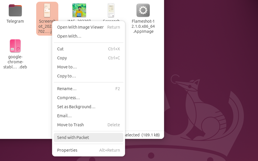 Sending files through Send With Packet Option of Packet Linux Client