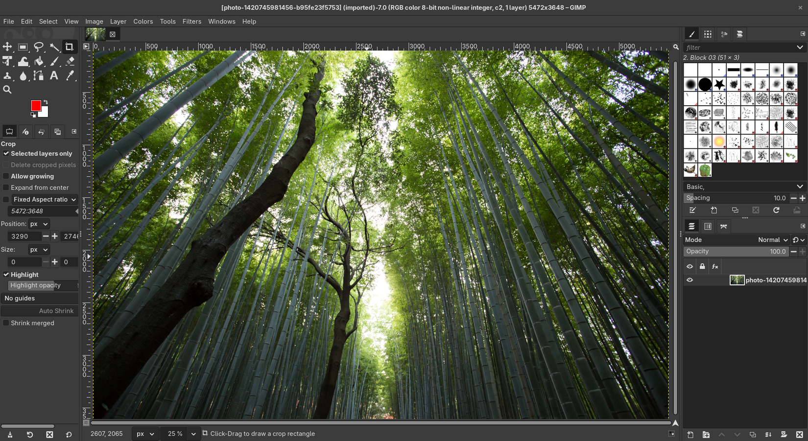 GIMP with a picture open showing tools and image editing menus.